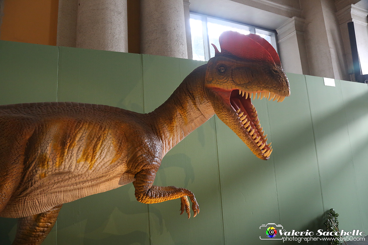 VBS_0940 - Dinosauri. Terra dei giganti.jpg